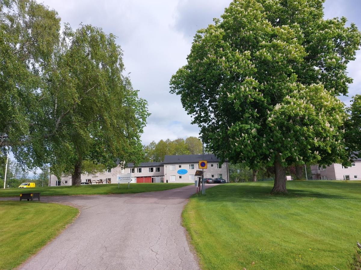Hammaroe Vandrarhem Exterior photo